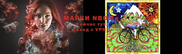 сатива Новодвинск