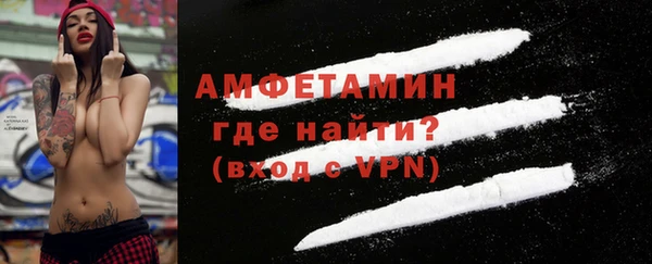 ПСИЛОЦИБИНОВЫЕ ГРИБЫ Новозыбков