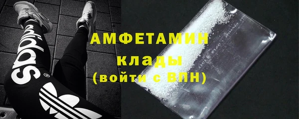 ПСИЛОЦИБИНОВЫЕ ГРИБЫ Новозыбков