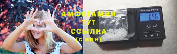 сатива Новодвинск