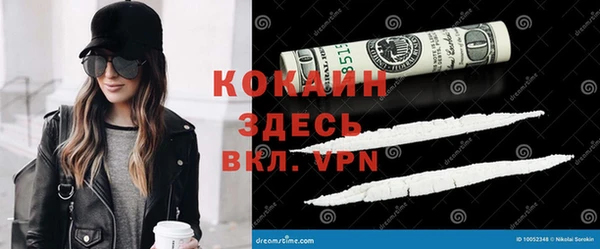 сатива Нязепетровск