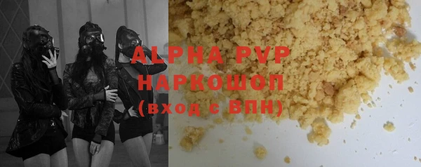 стаф Новокубанск
