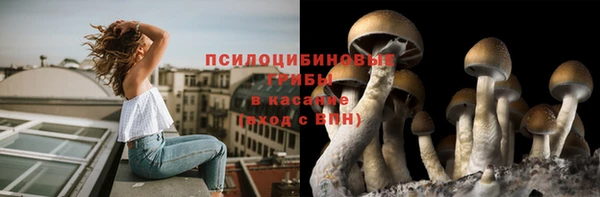 сатива Нязепетровск