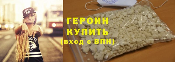 сатива Новодвинск