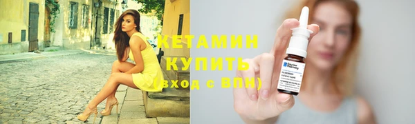 сатива Новодвинск