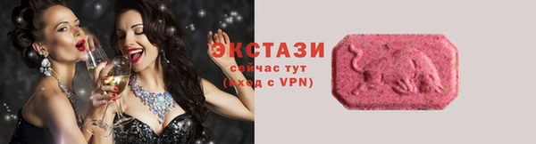 стаф Новокубанск