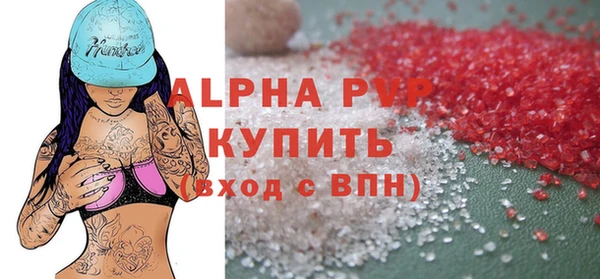 стаф Новокубанск