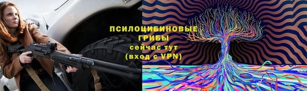 сатива Нязепетровск