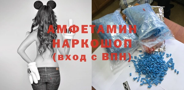 ПСИЛОЦИБИНОВЫЕ ГРИБЫ Новозыбков