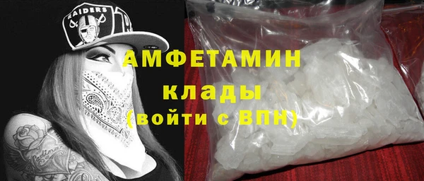 сатива Новодвинск