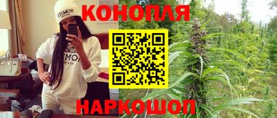 СК Дубна