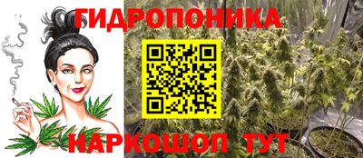 СК Дубна