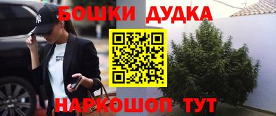 СК Дубна