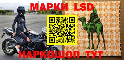 прущие грибы Донской