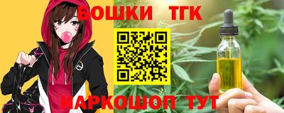 СК Дубна