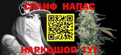 прущие грибы Донской