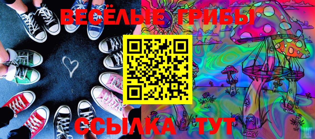 Галлюциногенные грибы Cubensis Сургут